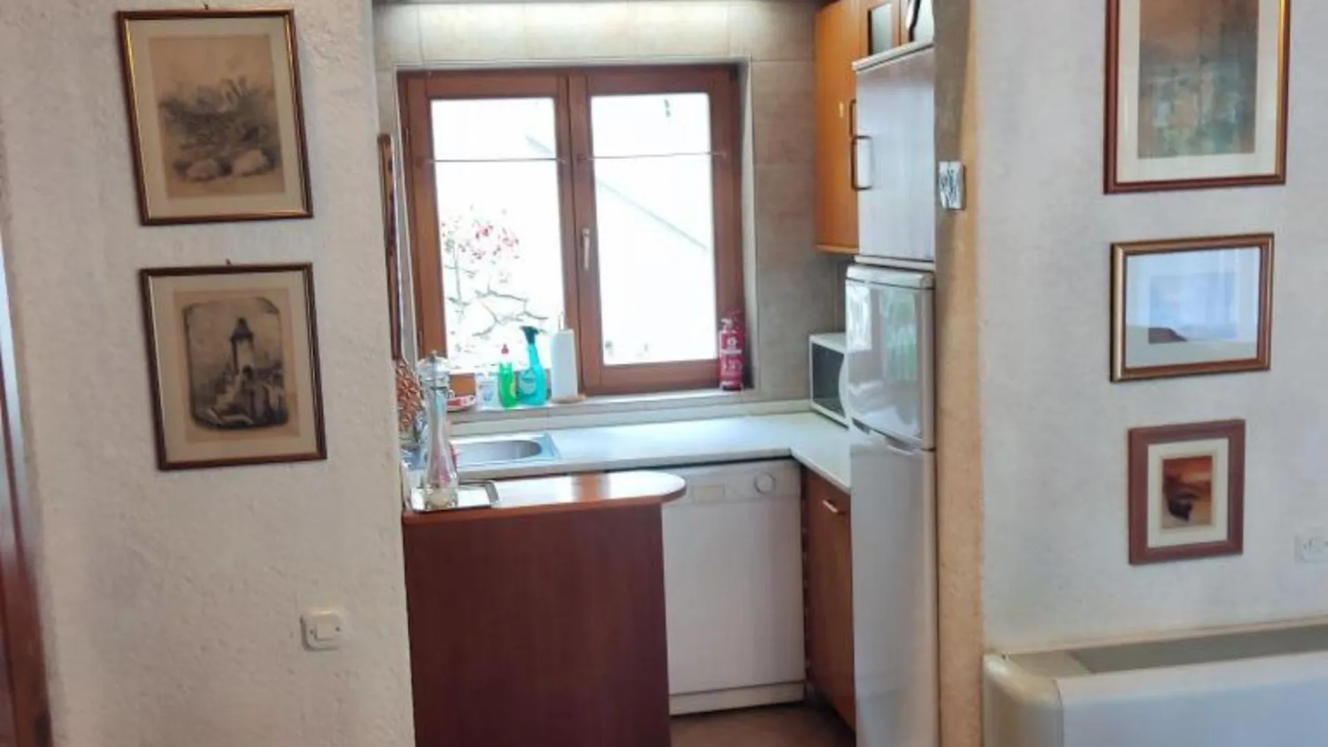 Apartment & Rooms Villa Oliva Novi Vinodolski