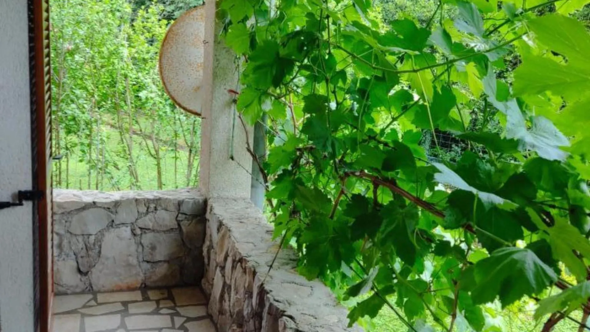 Apartment & Rooms Villa Oliva Novi Vinodolski Guest house