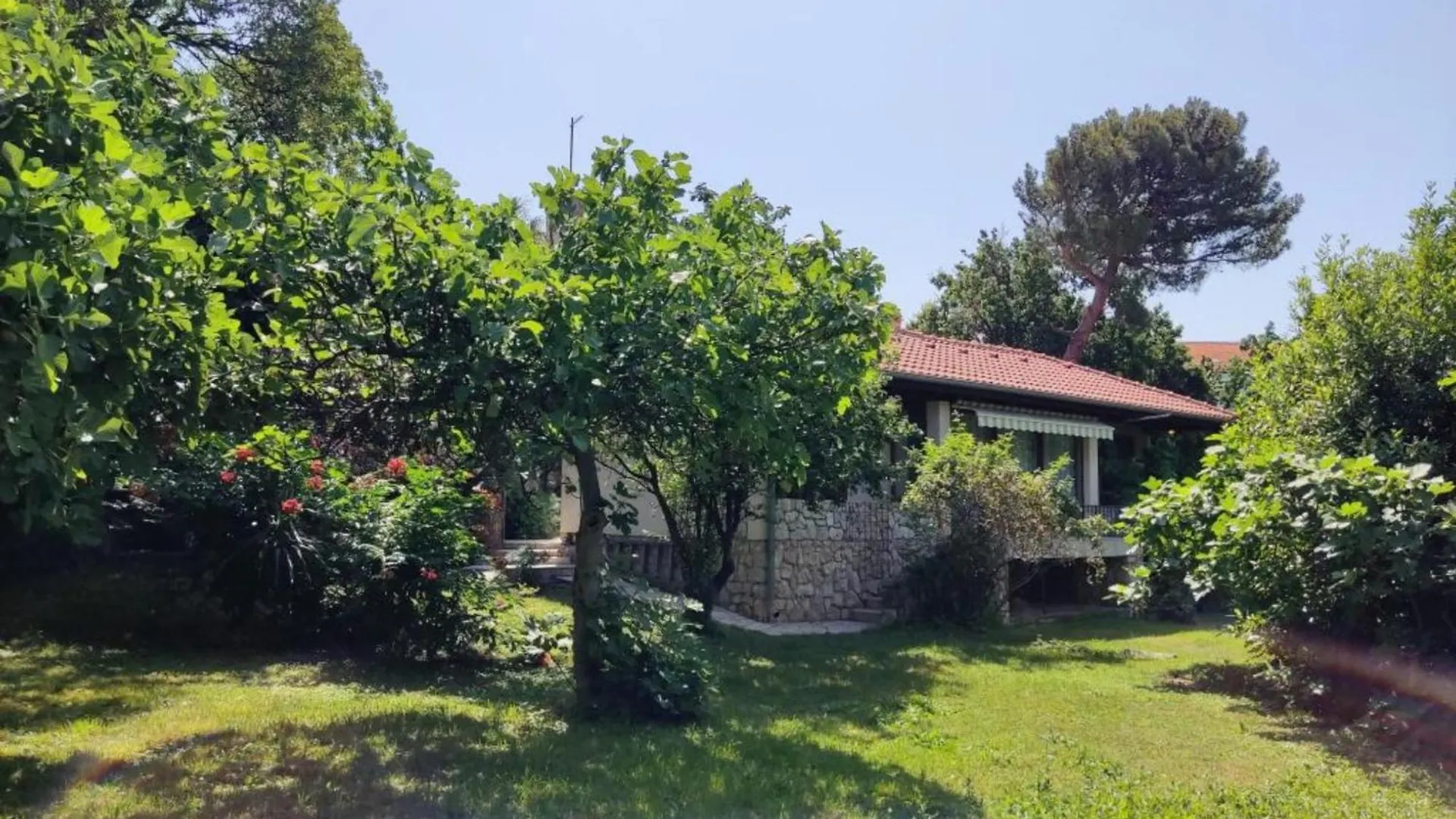 Apartment & Rooms Villa Oliva Novi Vinodolski Guest house